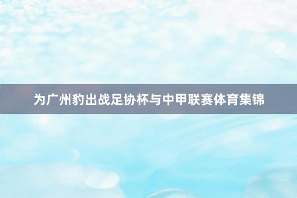 为广州豹出战足协杯与中甲联赛体育集锦