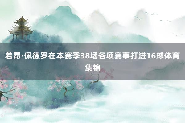 若昂·佩德罗在本赛季38场各项赛事打进16球体育集锦
