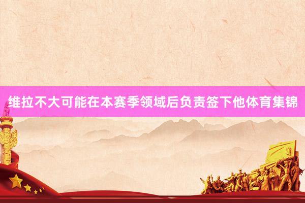 维拉不大可能在本赛季领域后负责签下他体育集锦