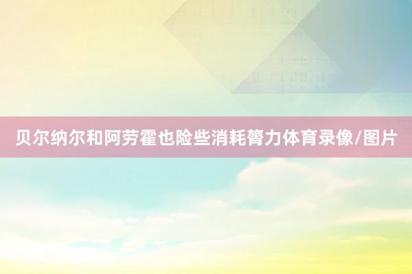 贝尔纳尔和阿劳霍也险些消耗膂力体育录像/图片