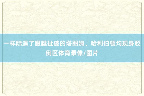 一样际遇了跟腱扯破的塔图姆、哈利伯顿均现身驳倒区体育录像/图片