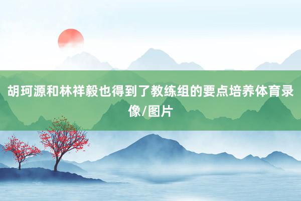 胡珂源和林祥毅也得到了教练组的要点培养体育录像/图片