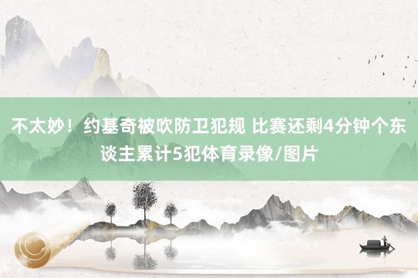 不太妙！约基奇被吹防卫犯规 比赛还剩4分钟个东谈主累计5犯体育录像/图片