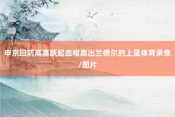 申京回防高高跃起血帽扇出兰德尔的上篮体育录像/图片