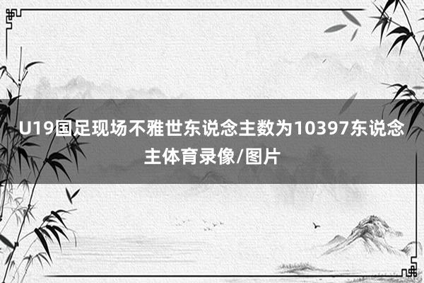 U19国足现场不雅世东说念主数为10397东说念主体育录像/图片
