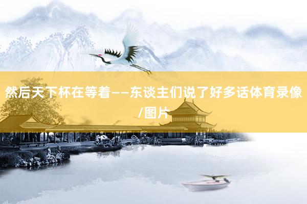 然后天下杯在等着——东谈主们说了好多话体育录像/图片