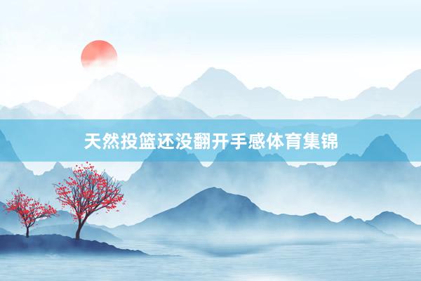 天然投篮还没翻开手感体育集锦