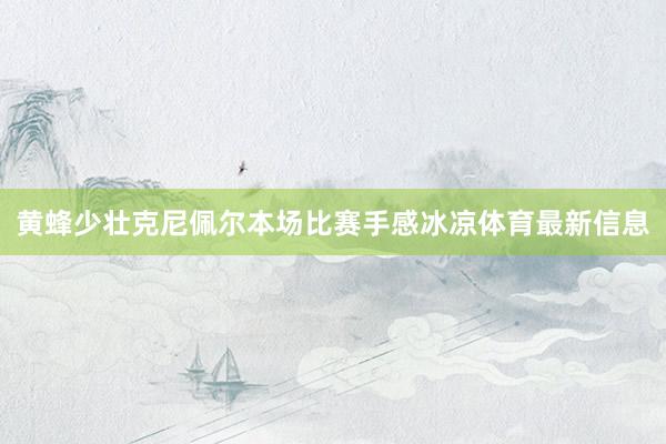 黄蜂少壮克尼佩尔本场比赛手感冰凉体育最新信息