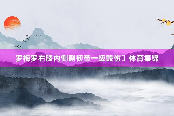 罗梅罗右膝内侧副韧带一级毁伤​体育集锦