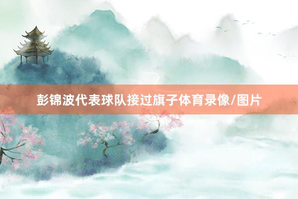 彭锦波代表球队接过旗子体育录像/图片