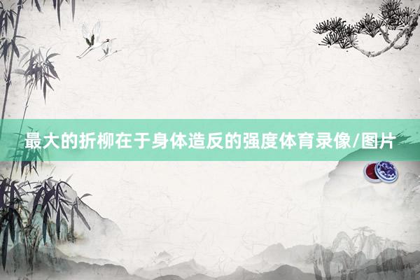 最大的折柳在于身体造反的强度体育录像/图片