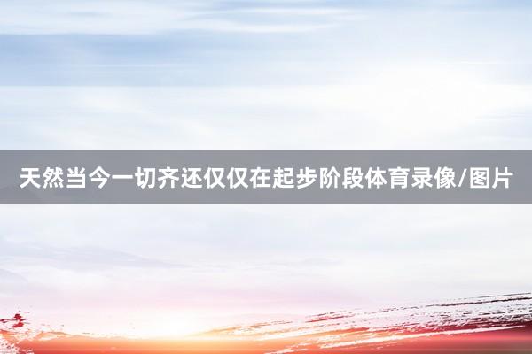天然当今一切齐还仅仅在起步阶段体育录像/图片