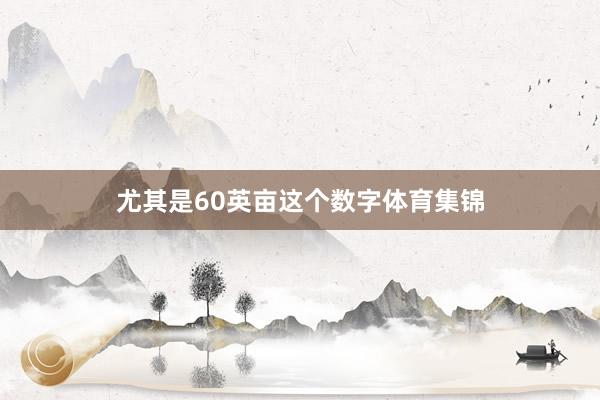 尤其是60英亩这个数字体育集锦