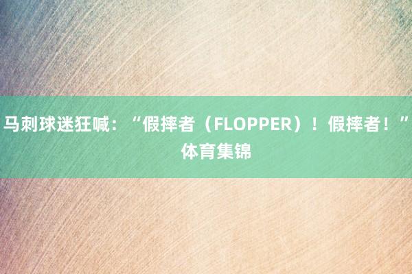 马刺球迷狂喊：“假摔者（FLOPPER）！假摔者！”    体育集锦