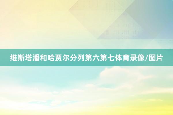 维斯塔潘和哈贾尔分列第六第七体育录像/图片