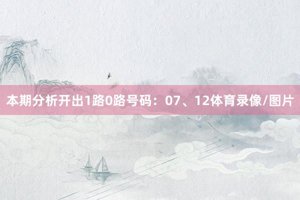 本期分析开出1路0路号码：07、12体育录像/图片